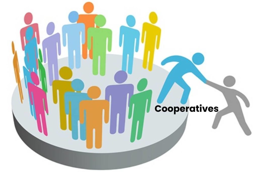 what-are-cooperatives-types-structure-and-more